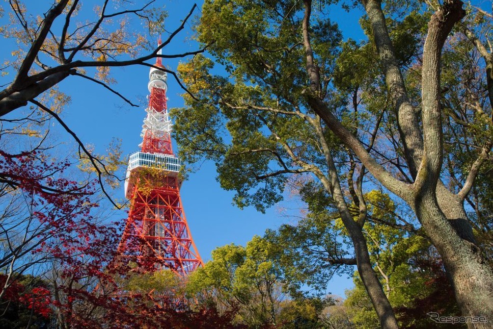 東京タワー《Photo by Stanislav Kogiku/SOPA Images/LightRocket via Getty Images/ゲッティイメージズ》