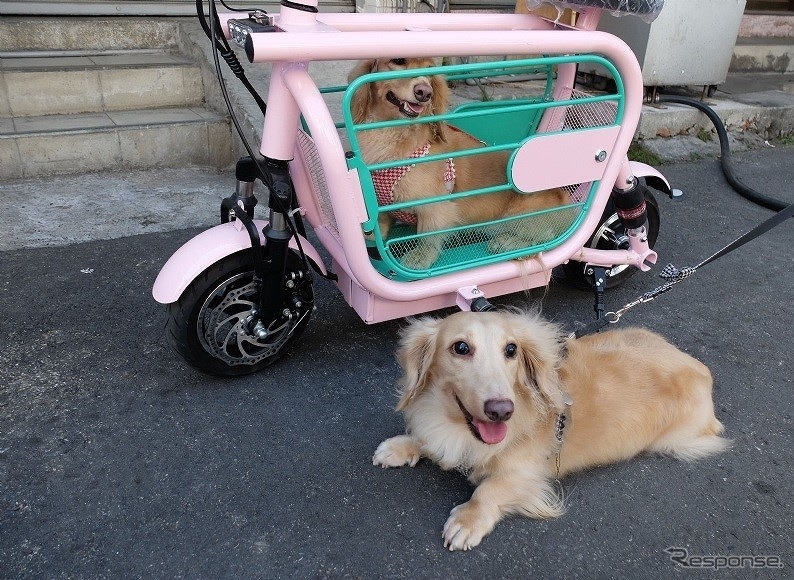 愛犬と一緒に乗れる電動バイク「モペット」《写真提供 レストロジック》