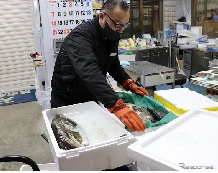 函館の今朝どれ鮮魚を梱包《写真提供 東日本旅客鉄道》