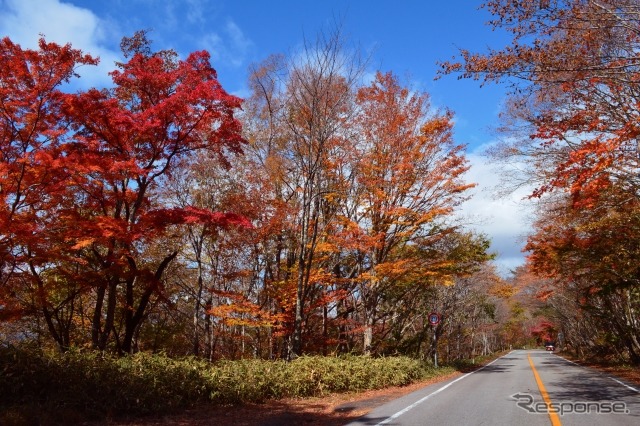 栃木県《写真提供 写真AC》