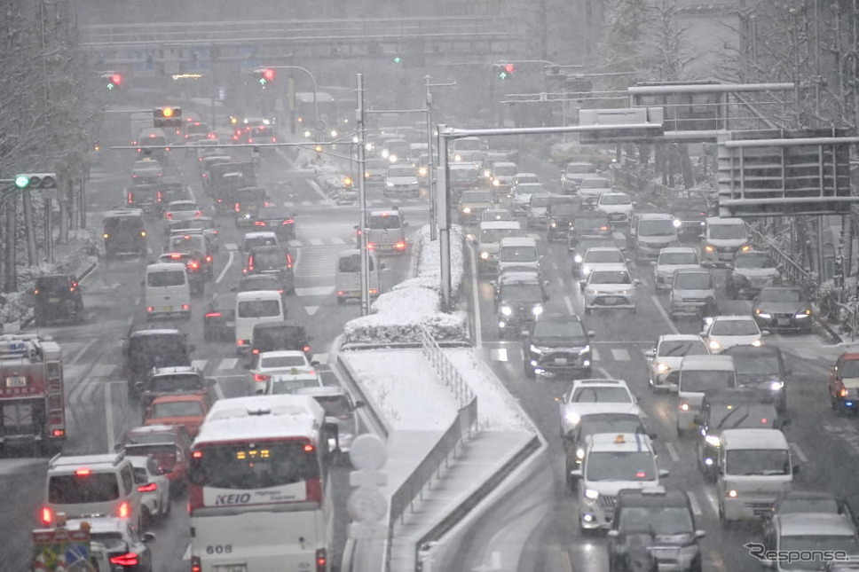 初雪の東京（1月6日）《Photo by David Mareuil/Anadolu Agency via Getty Images/ゲッティイメージズ》