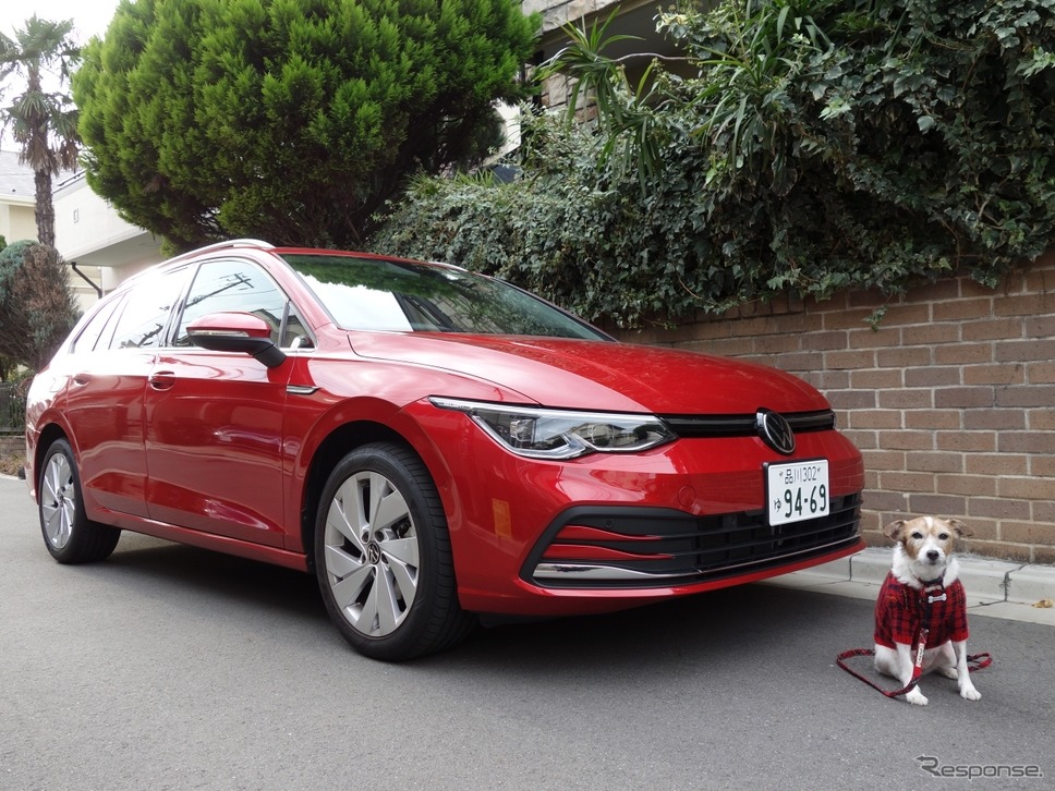 VW ゴルフ ヴァリアント《写真 青山尚暉》