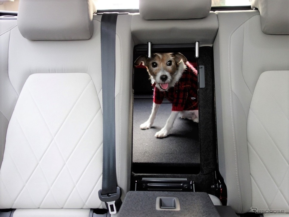 VW ゴルフ ヴァリアント《写真 青山尚暉》