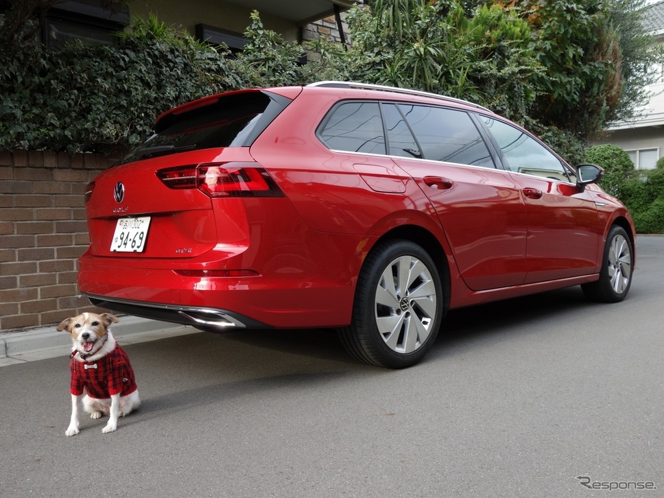 VW ゴルフ ヴァリアント《写真 青山尚暉》
