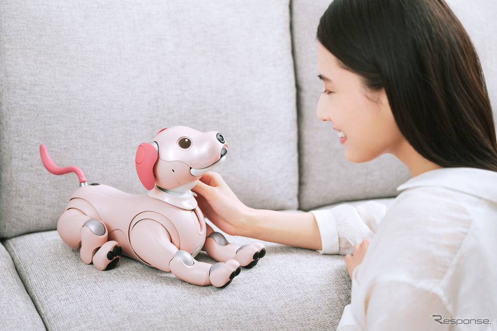 AIロボティクスビジネスグループ:AIロボット「aibo」《写真提供 ソニーグループ》