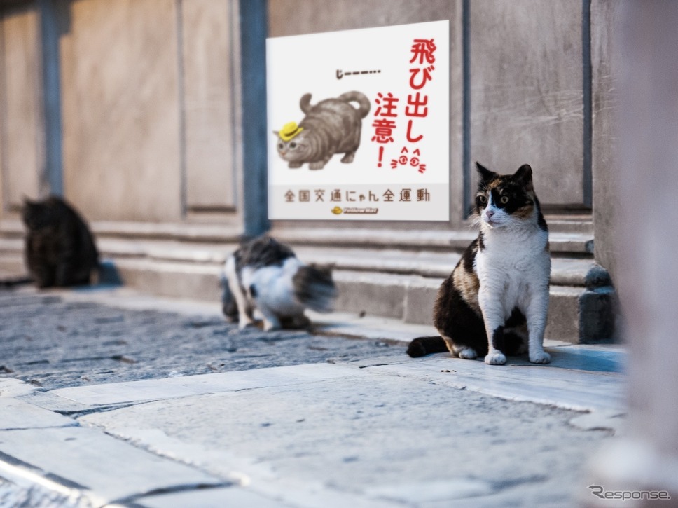 街中に「猫飛び出しサイン」が広まったイメージ《画像提供 イエローハット》