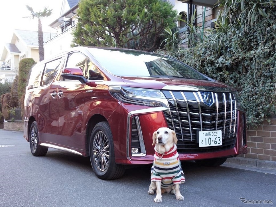 トヨタ アルファード ハイブリッド《写真 青山尚暉》