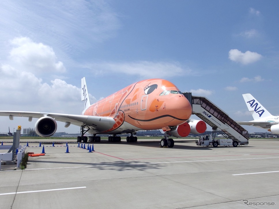 FLYING HONU 3号機《写真撮影 高木啓》