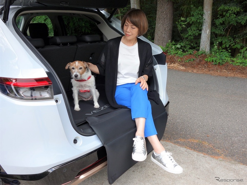 犬を車内のどこに乗せるか問題の結論《写真 青山尚暉》