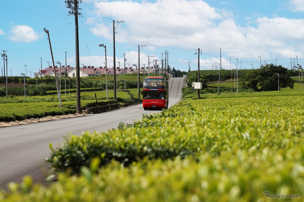 2階建てオープントップバスならではの高い視線から牧之原台地の茶畑の風景を楽しむ《写真提供 大井川鐵道》
