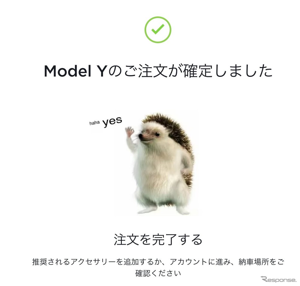 テスラ モデルYの注文が確定した瞬間。ハリネズミが可愛い。(スクリーンショット)