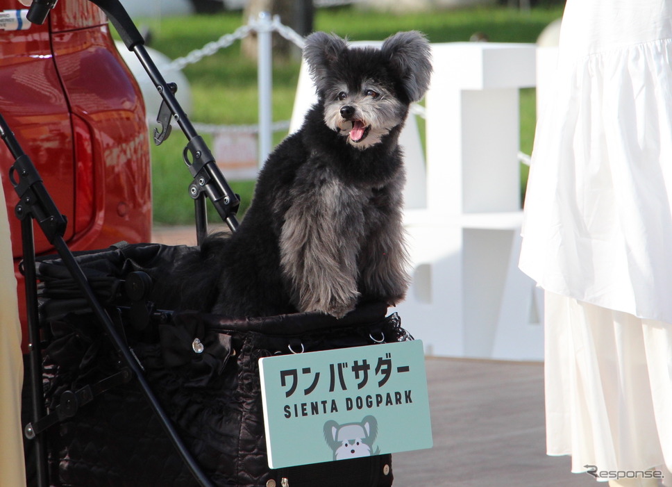 「SIENTA DOG PARK(シエンタドッグパーク)」オープニングセレモニー《写真撮影 吉田瑶子》