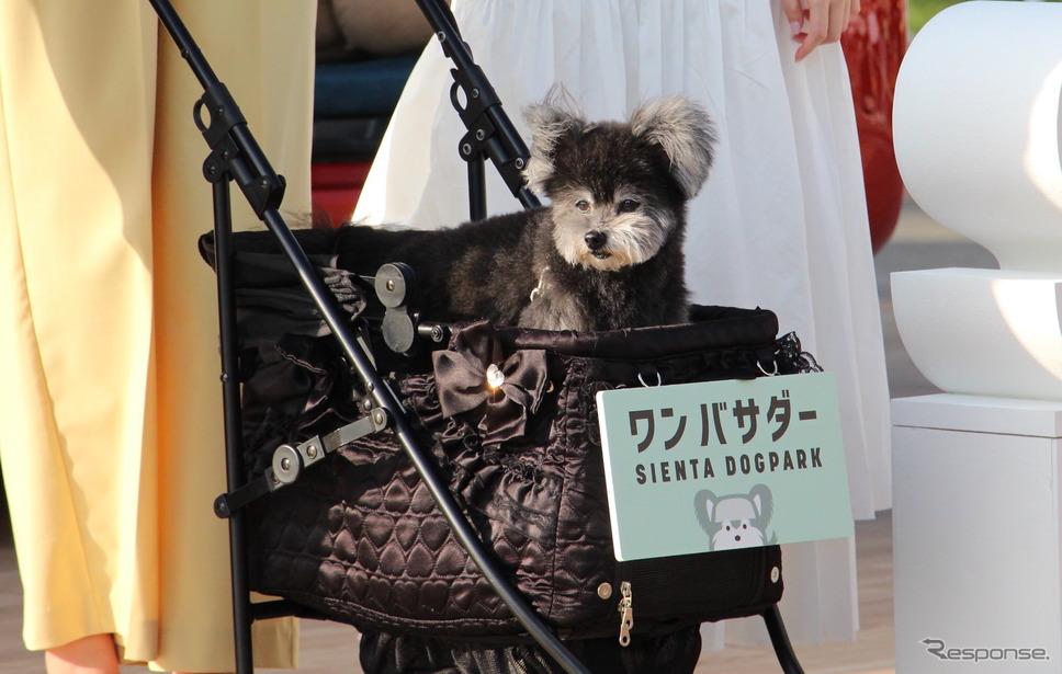 “ワンバサダー”の「ちょうじゅうろう」《写真撮影 吉田瑶子》