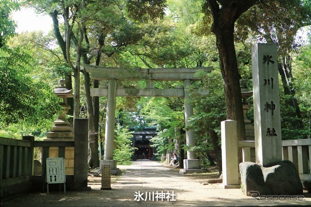 縁結びパワースポット：赤坂氷川神社《写真提供 国際自動車》