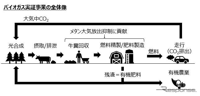 バイオガス実証事業の全体像《図版提供 スズキ》