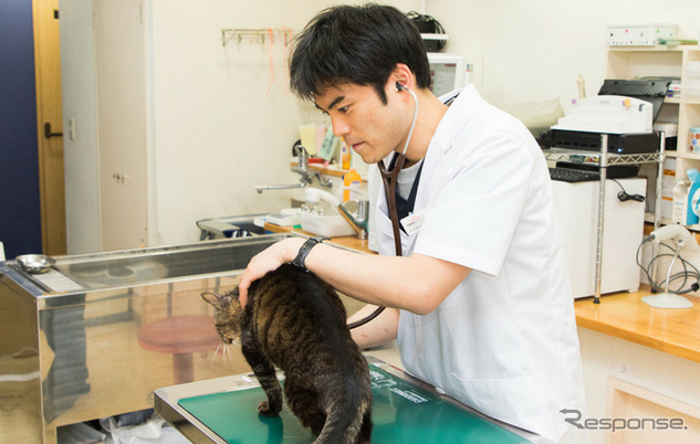 ライト動物病院の小林良輔院長《写真提供 キャンピングカー株式会社》