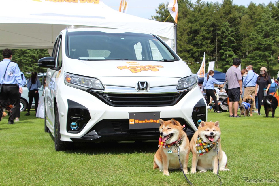 Honda Dog(ホンダアクセス)ブース/アウトドアドッグフェスタin八ヶ岳 2022《写真撮影 吉田瑶子》