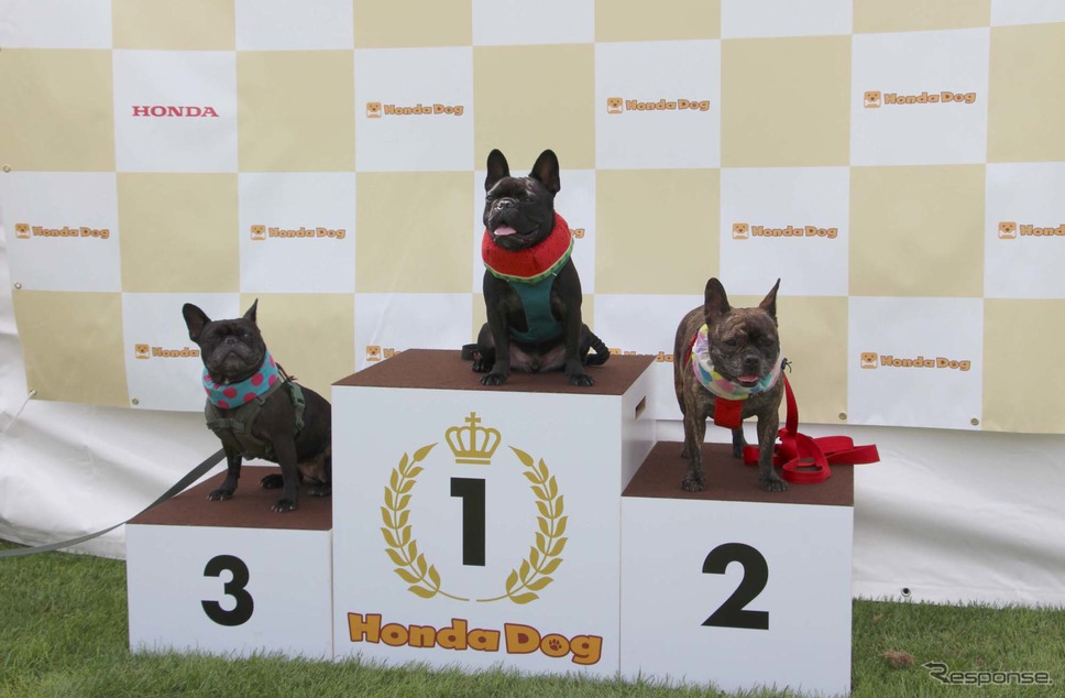 Honda Dog(ホンダアクセス)ブース/アウトドアドッグフェスタin八ヶ岳 2022《写真撮影 吉田瑶子》