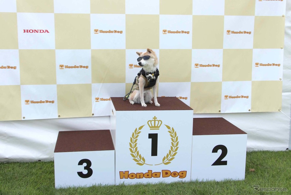 Honda Dog(ホンダアクセス)ブース/アウトドアドッグフェスタin八ヶ岳 2022《写真撮影 吉田瑶子》