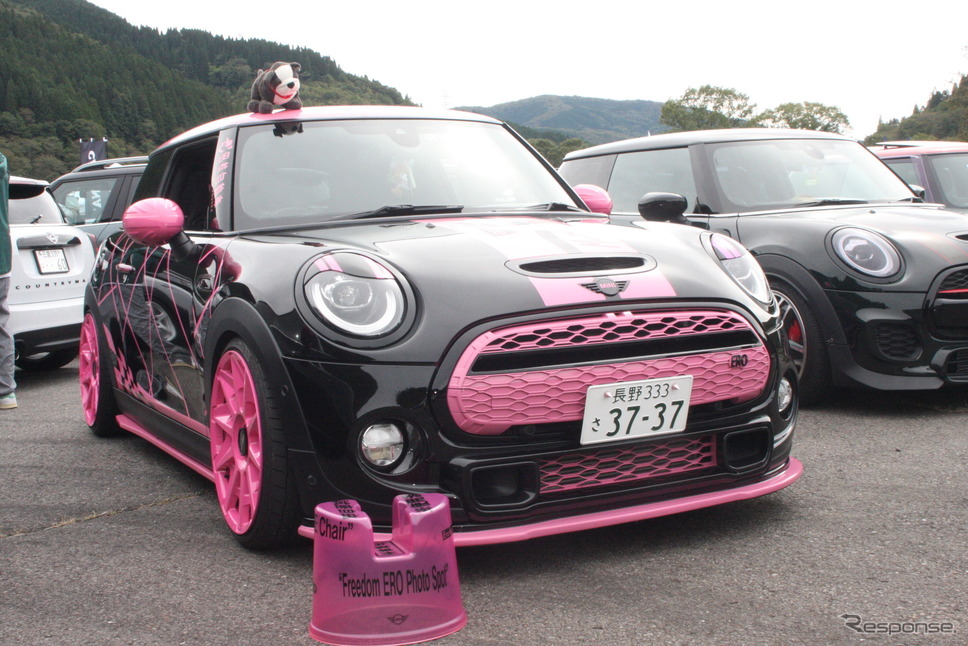 会場に集まった個性的なMINI《写真撮影 南部武寛》