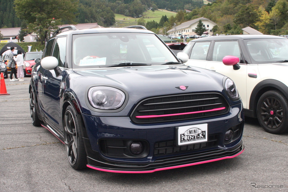 会場に集まった個性的なMINI《写真撮影 南部武寛》