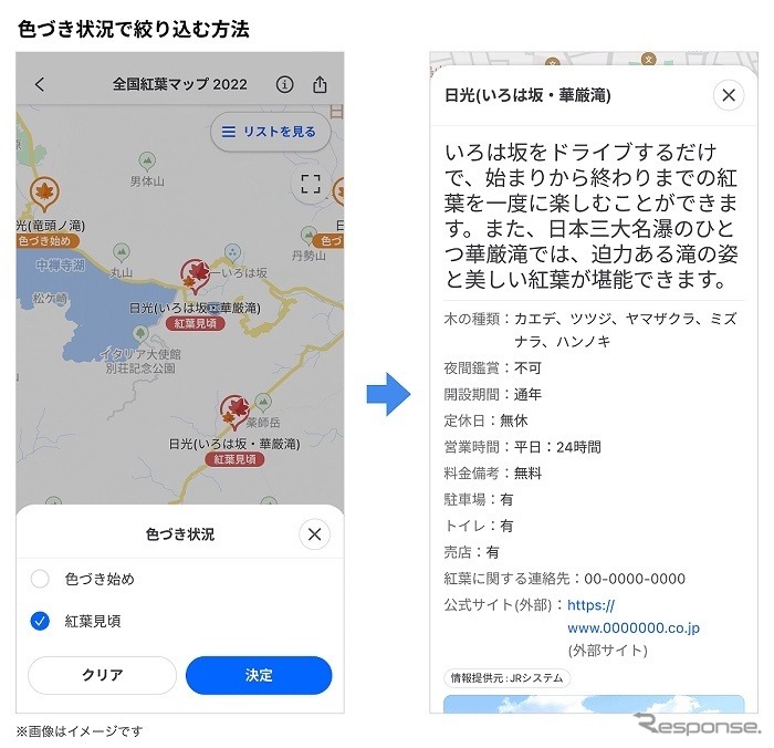 色づき状況で絞り込む方法《画像提供 ヤフー》