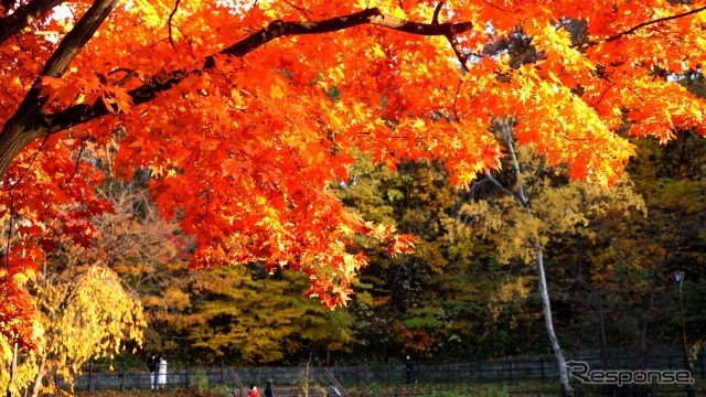 (イメージ)《写真提供 写真AC》