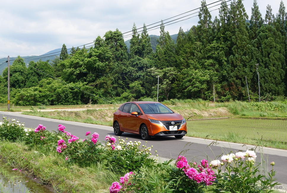 奥飛騨路は街道沿いにしゃくなげの花が咲く。《写真撮影 井元康一郎》