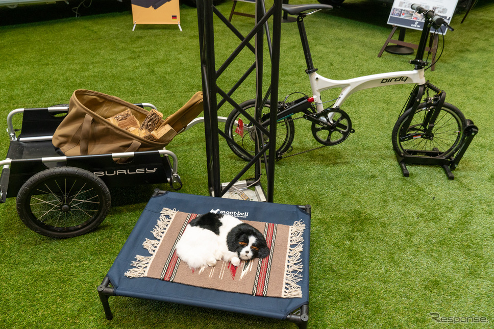 ペットの家族化が生み出す新しいキャンピングカー市場…ジャパンキャンピングカーショー2023《写真 石川徹》
