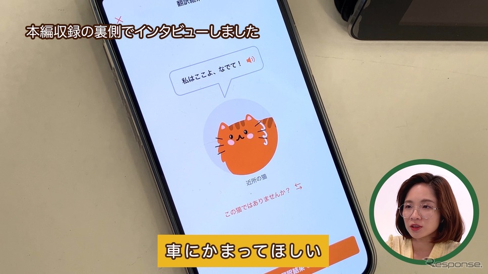 私はここよ、なでて（考察：車にかまって欲しい）《写真提供 イエローハット》