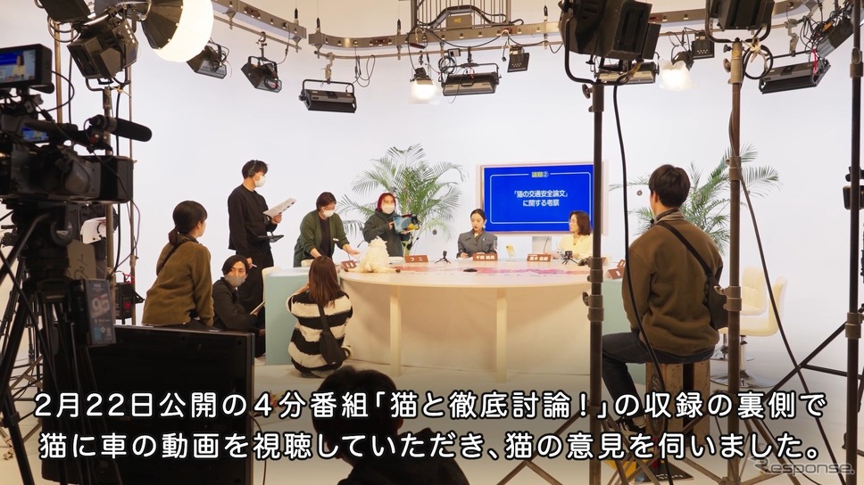 「猫と徹底討論！」収録《写真提供 イエローハット》