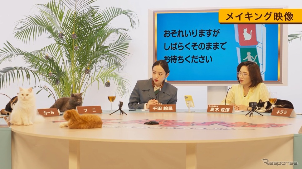 「猫と徹底討論！」収録《写真提供 イエローハット》