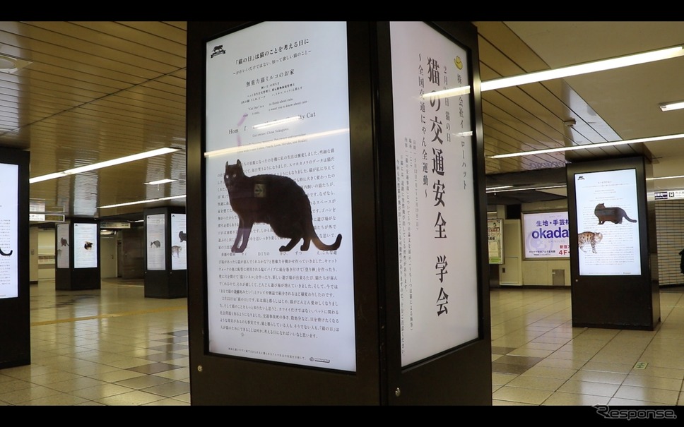 猫を交通事故から守る論文をデジタルサイネージで発表《写真提供 イエローハット》