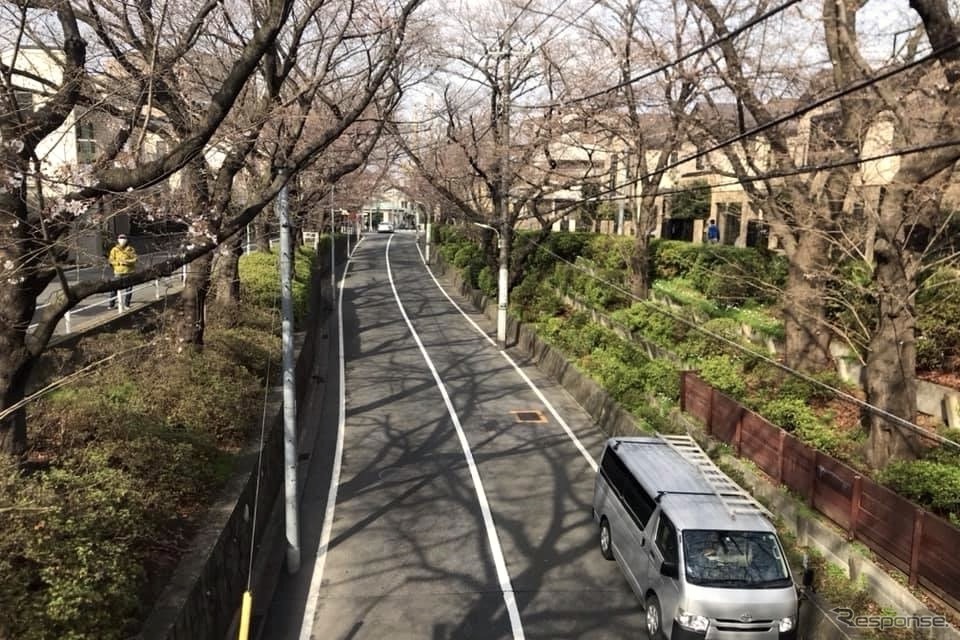 桜坂《写真撮影 高木啓》