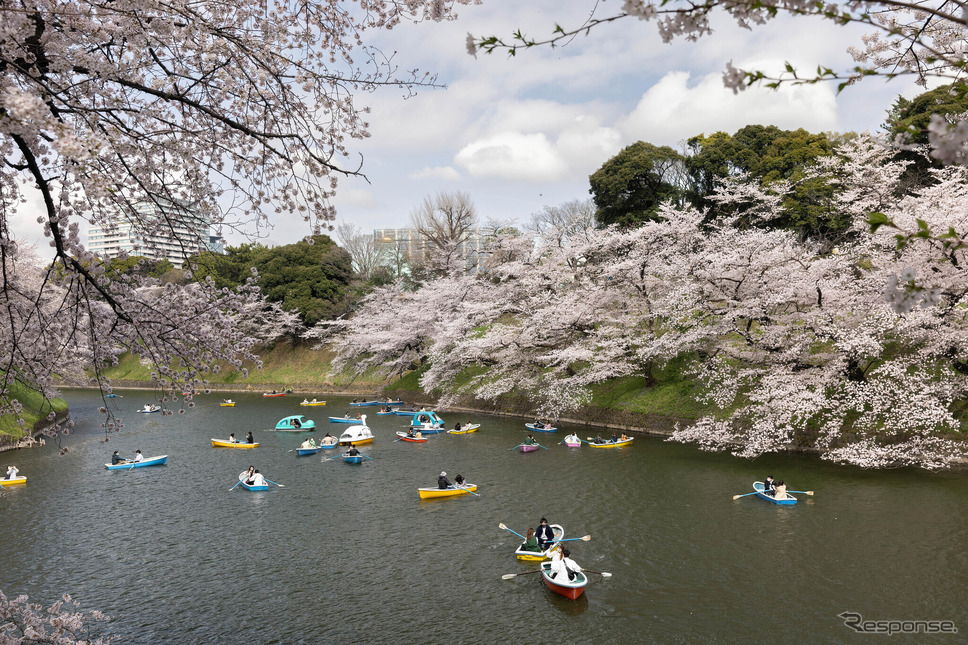 千鳥ヶ淵《Photo by Stanislav Kogiku/SOPA Images/LightRocket/ゲッティイメージズ》