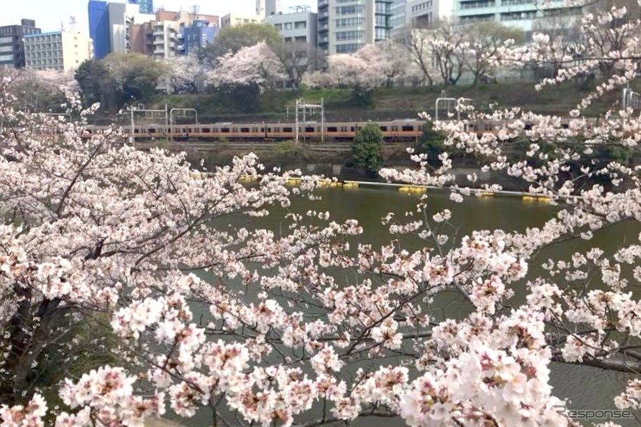 市ヶ谷外堀《写真撮影 高木啓》