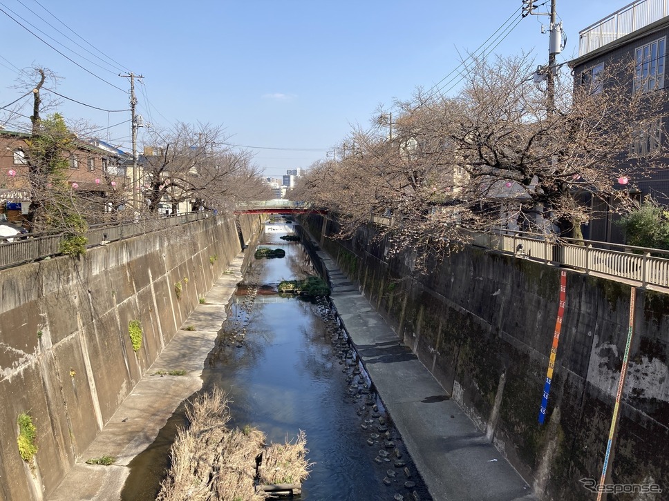 石神井川《写真撮影 高木啓》