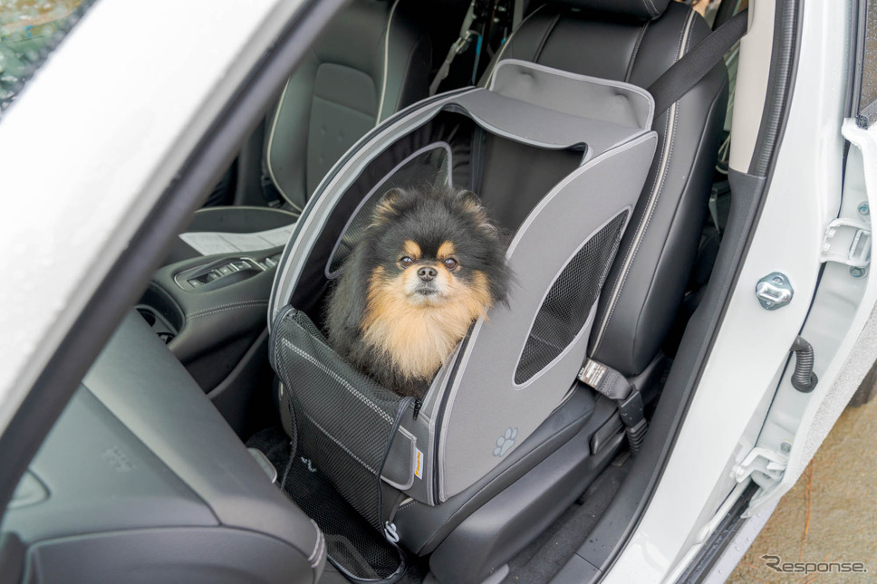 超小型犬2頭、または小型犬1頭に対応する「ペットシートプラスわん2」。《写真撮影 関口敬文》
