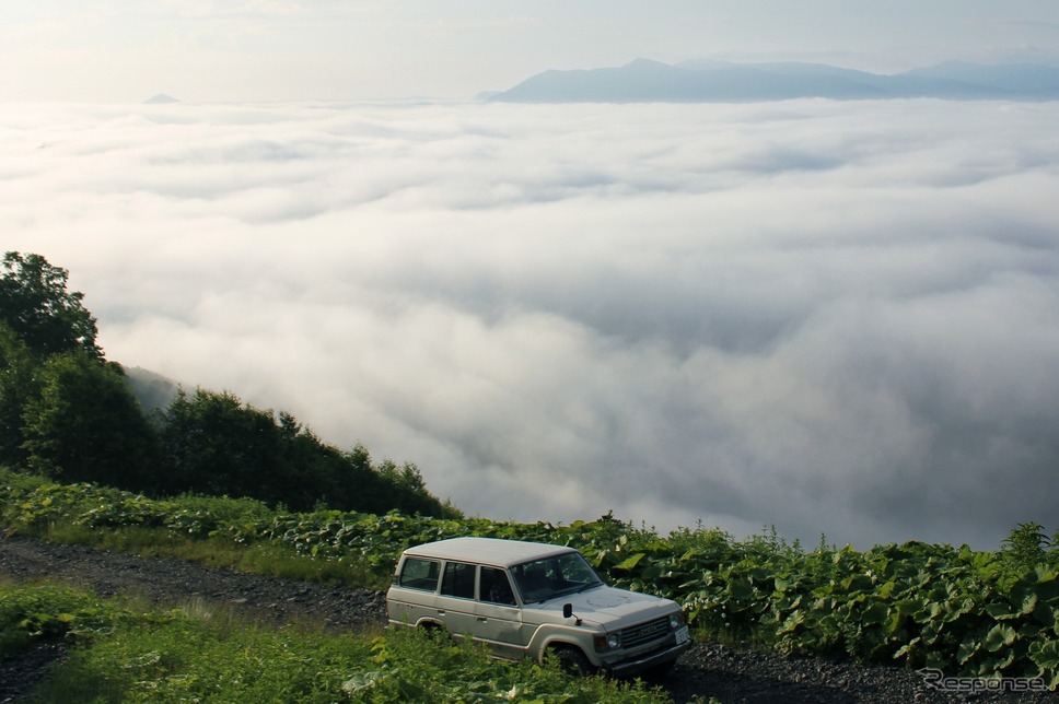 LANDCREWS(ランクルズ)イメージ《写真提供:トヨタ自動車》