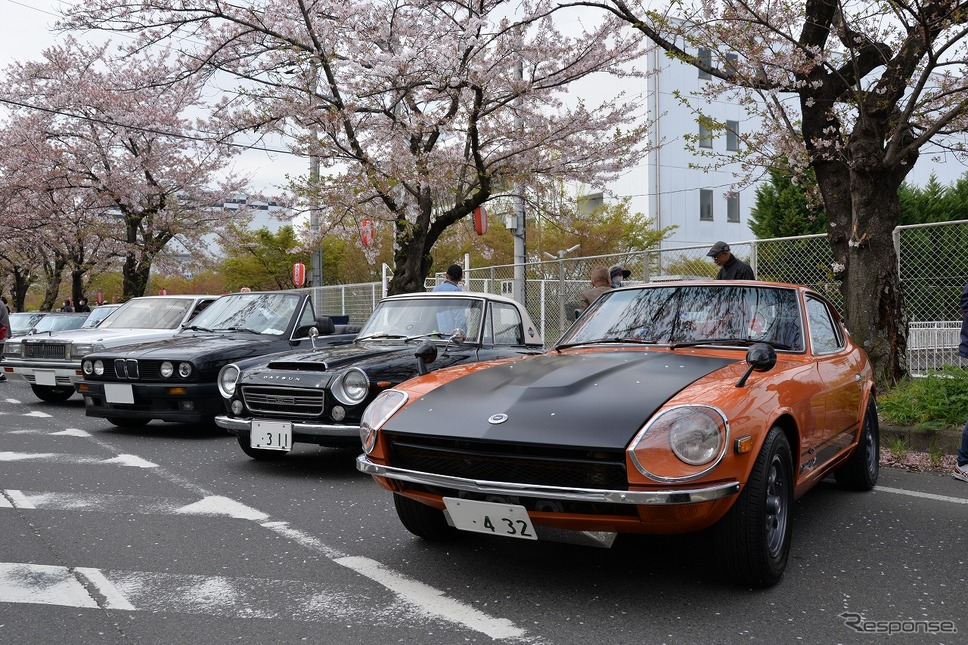 桜吹雪と名車の饗宴…オールドカーミーティングin清久さくらまつり