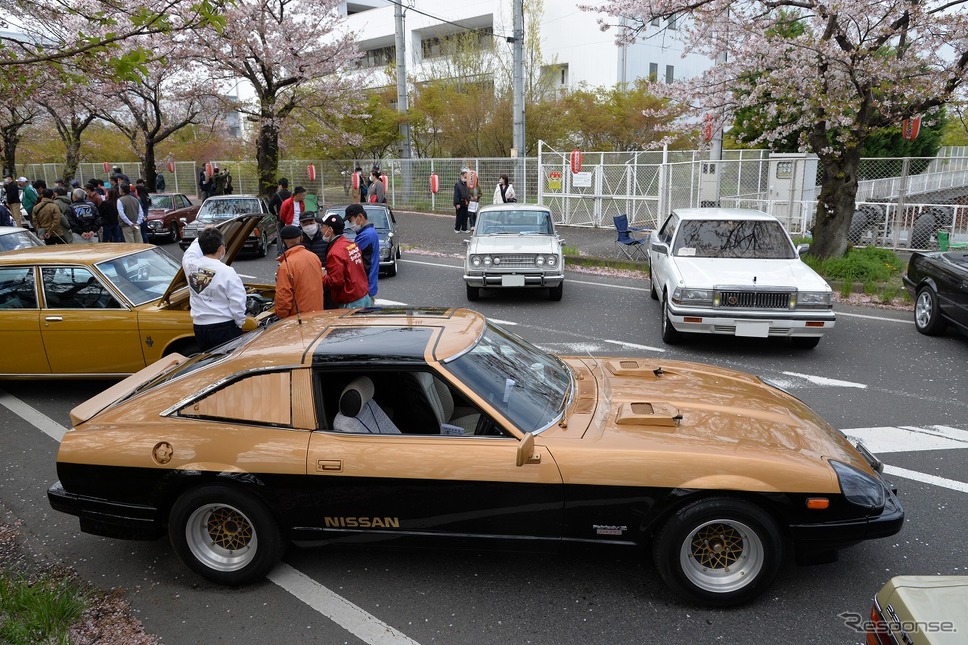 桜吹雪と名車の饗宴…オールドカーミーティングin清久さくらまつり