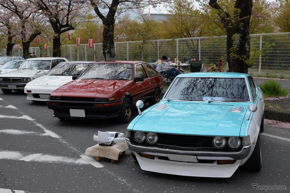 桜吹雪と名車の饗宴…オールドカーミーティングin清久さくらまつり