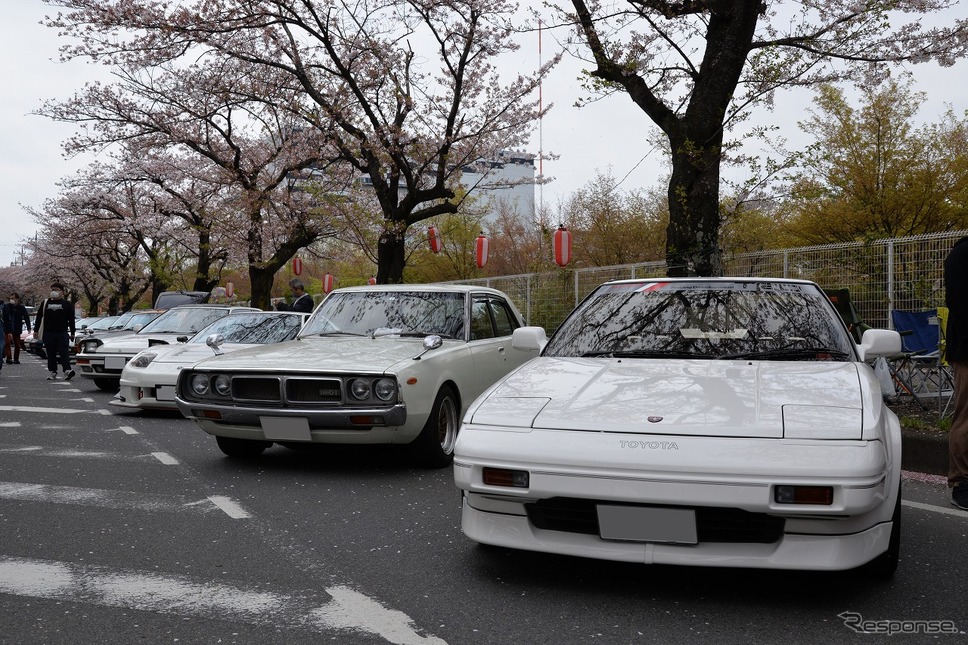 桜吹雪と名車の饗宴…オールドカーミーティングin清久さくらまつり