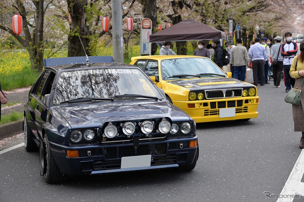 桜吹雪と名車の饗宴…オールドカーミーティングin清久さくらまつり