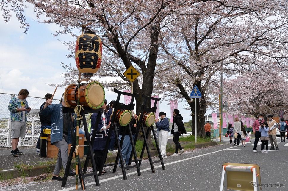 桜吹雪と名車の饗宴…オールドカーミーティングin清久さくらまつり