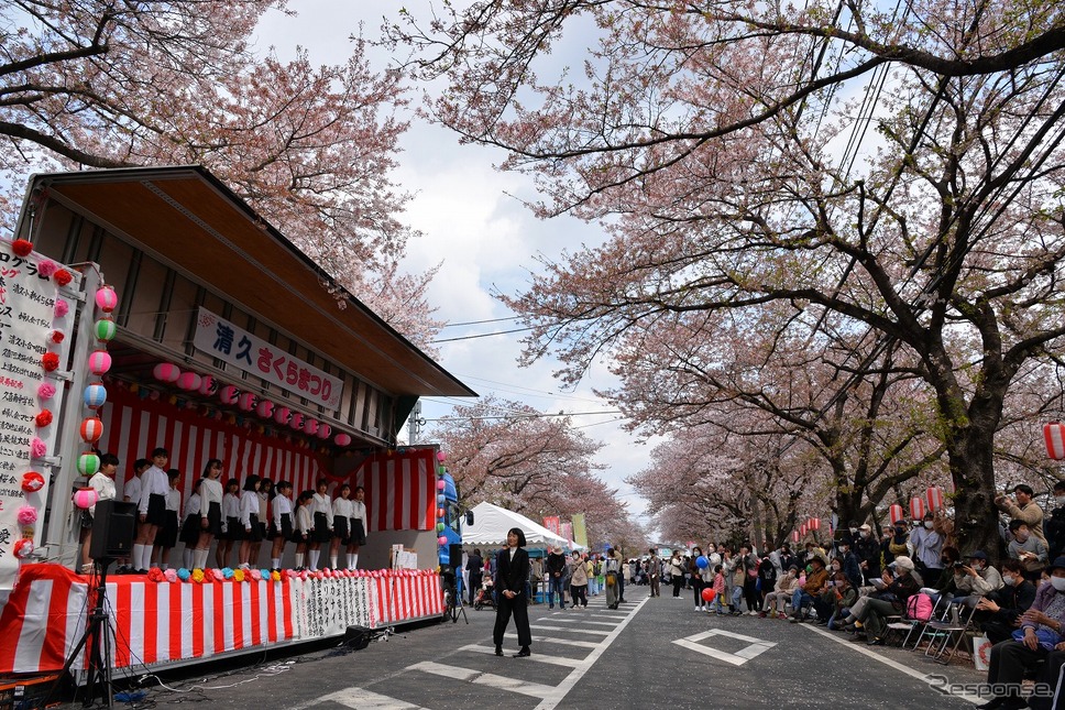 桜吹雪と名車の饗宴…オールドカーミーティングin清久さくらまつり