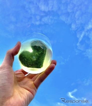 ハートのお茶(土山茶)《写真提供 土山ハイウェイサービス》