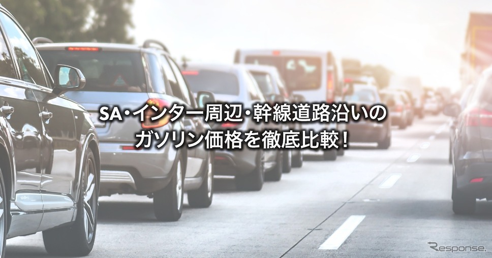 イメージ《写真提供:ゴーゴーラボ》