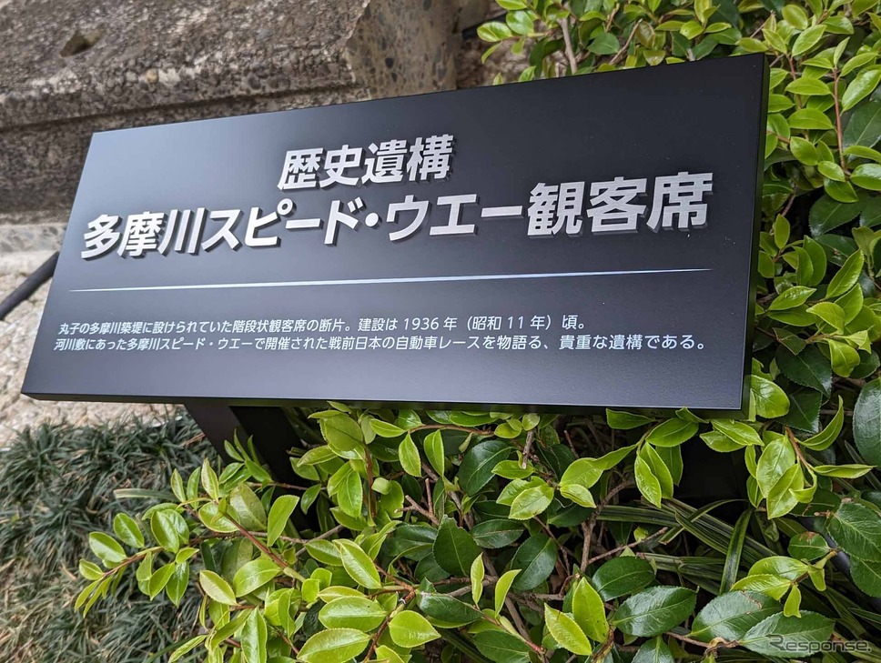 多摩川沿いに日本発の常設サーキットがあった「多摩川スピードウエー」遺構を青山に《写真撮影 中村孝仁》