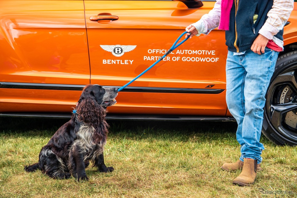 ベントレーが参加する英国の愛犬家イベント「グッドウーフ・フェスティバル」《photo by Bentley》